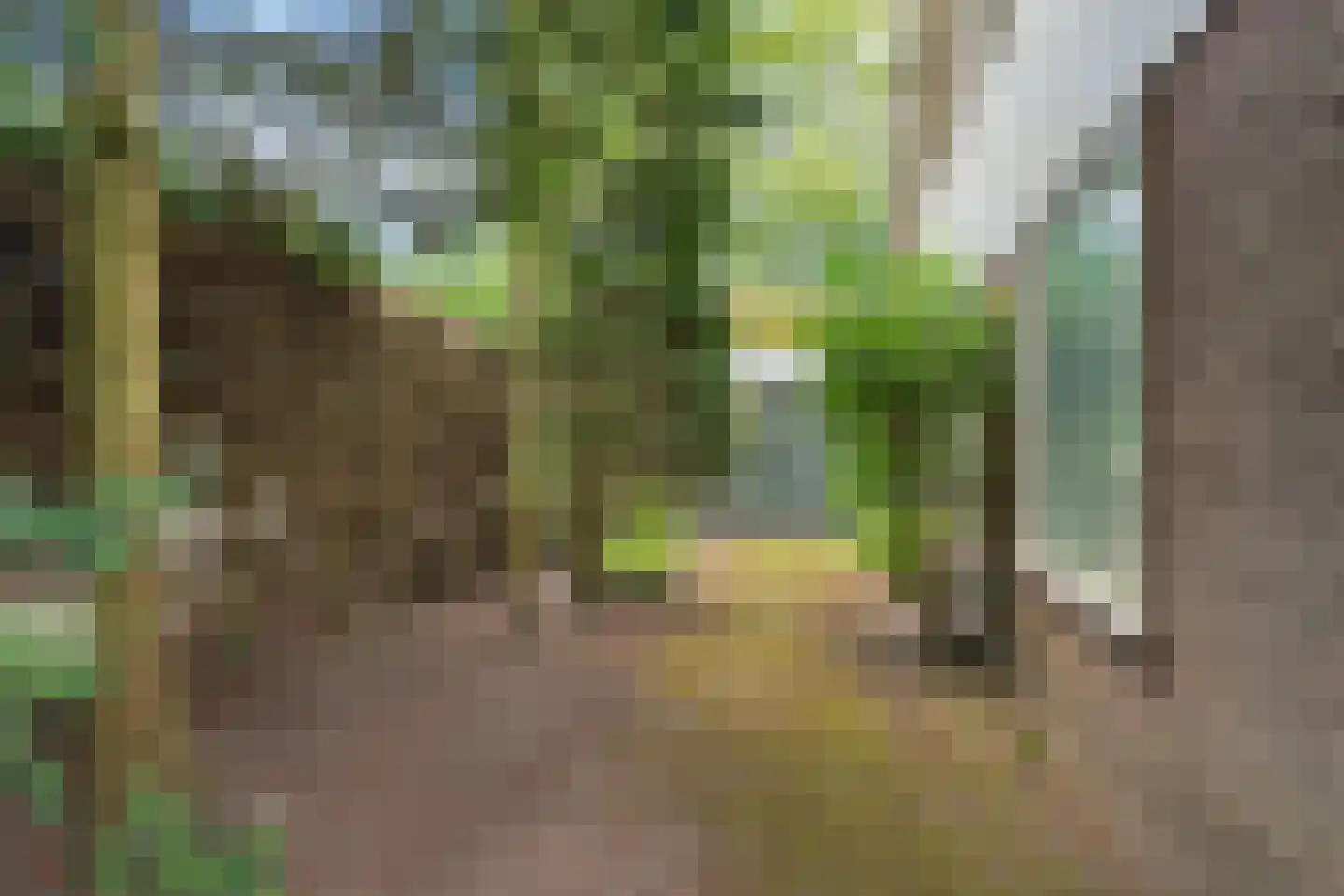 C. Fabritiuspark 9 Heerhugowaard thumbnail 6