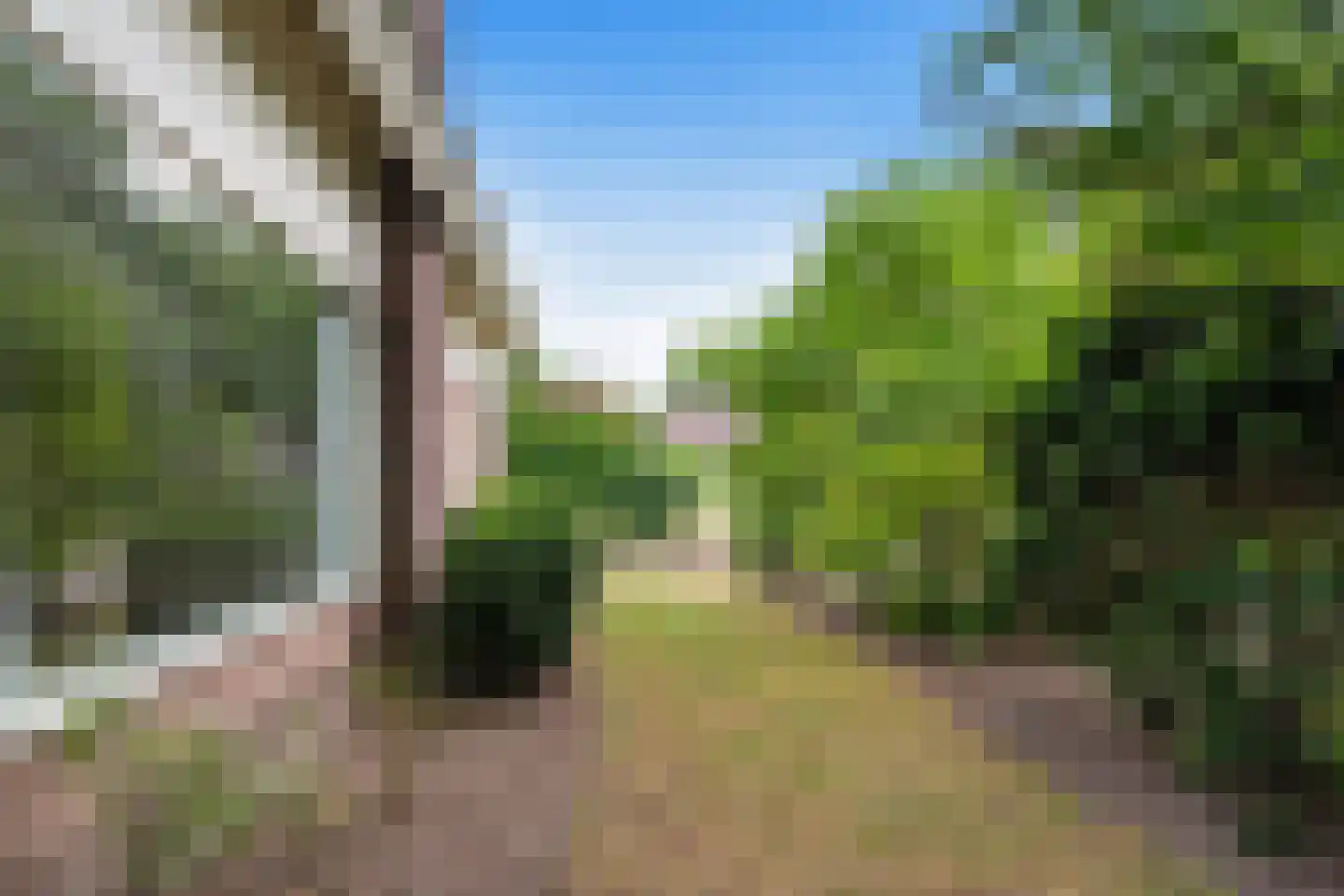 C. Fabritiuspark 9 Heerhugowaard thumbnail 7