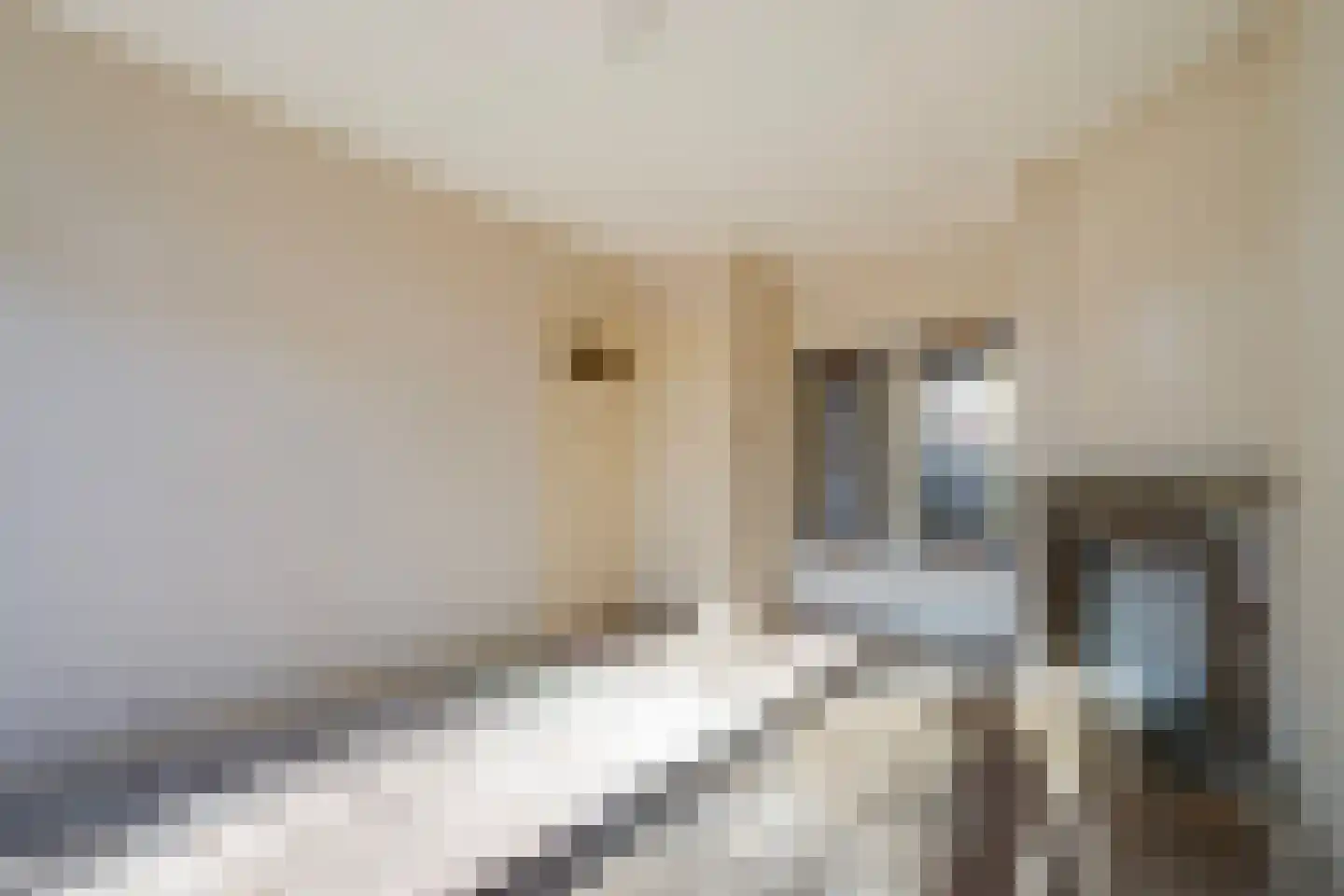 C. Fockstraat 135 Delft thumbnail 14