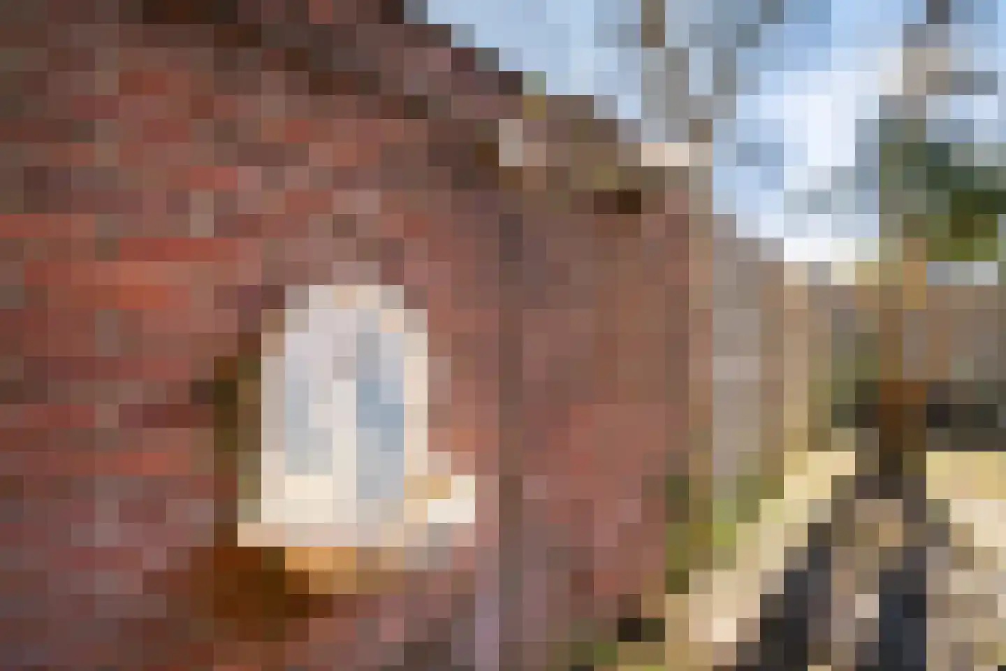 C. Fockstraat 135 Delft thumbnail 29