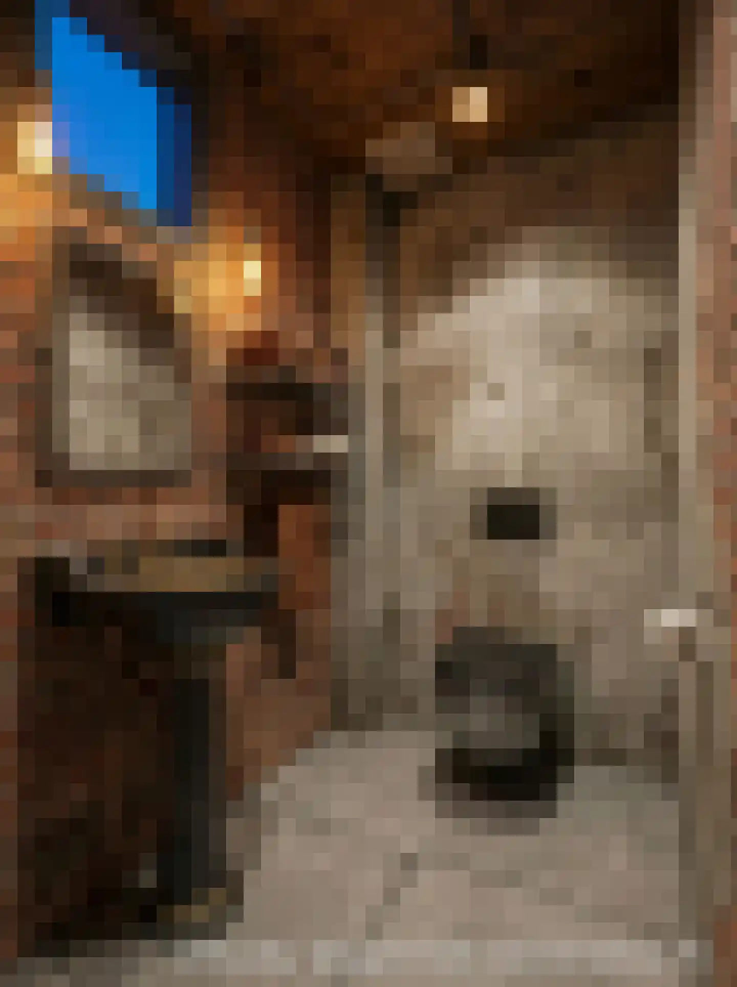 C. Fockstraat 135 Delft thumbnail 8