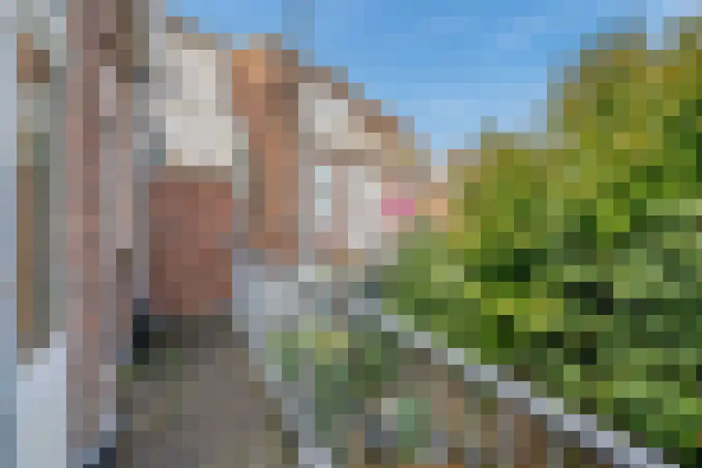 C. Fockstraat 144 Delft thumbnail 15