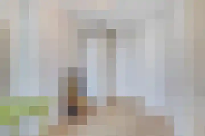 C. Fockstraat 31 Delft thumbnail 15