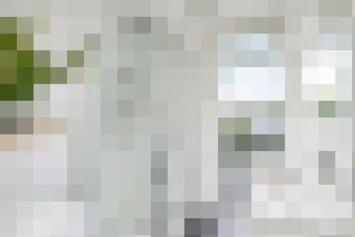 C. Fockstraat 83 Delft thumbnail 32