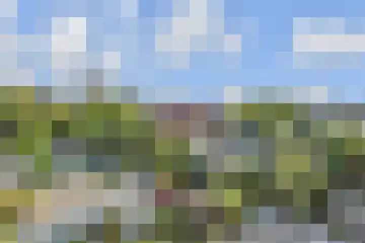 C. Fockstraat 83 Delft thumbnail 57