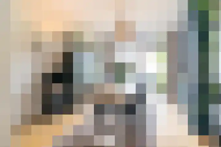 C. Fockstraat 96 Delft thumbnail 17