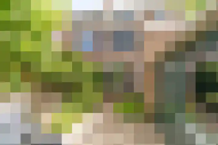 C. Fockstraat 96 Delft thumbnail 30