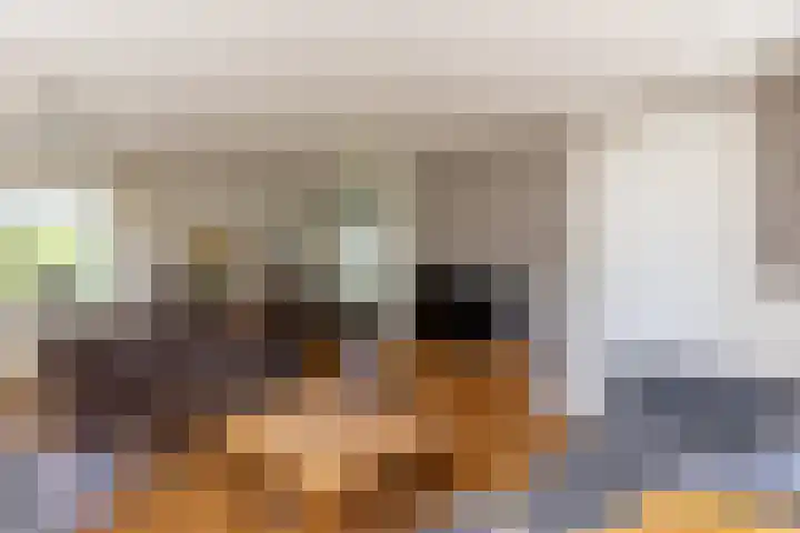 C.G. Roosweg 11 Schoonhoven thumbnail 12