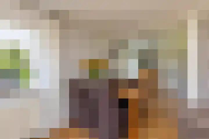 C.G. Roosweg 11 Schoonhoven thumbnail 14
