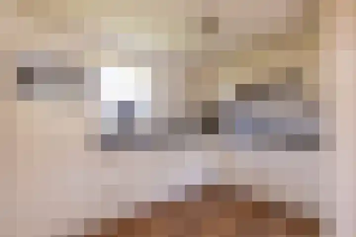 C.G. Roosweg 11 Schoonhoven thumbnail 19