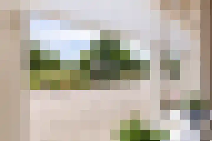 C.G. Roosweg 11 Schoonhoven thumbnail 22