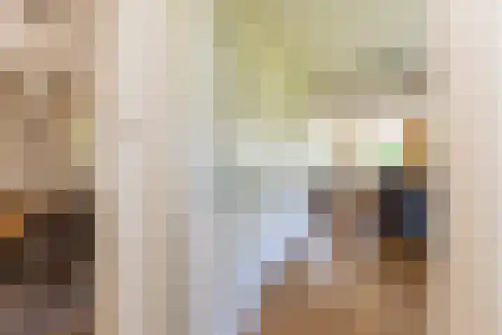 C.G. Roosweg 11 Schoonhoven thumbnail 26