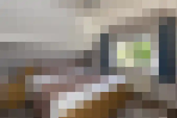 C.G. Roosweg 11 Schoonhoven thumbnail 30