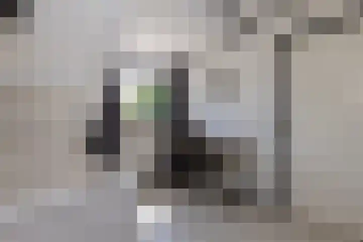 C.G. Roosweg 11 Schoonhoven thumbnail 37