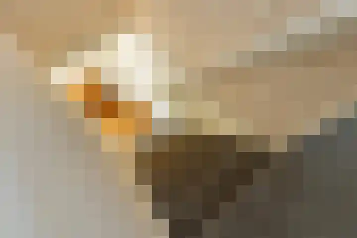 C.G. Roosweg 11 Schoonhoven thumbnail 42