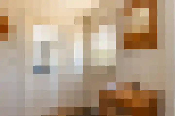 C.G. Roosweg 11 Schoonhoven thumbnail 43