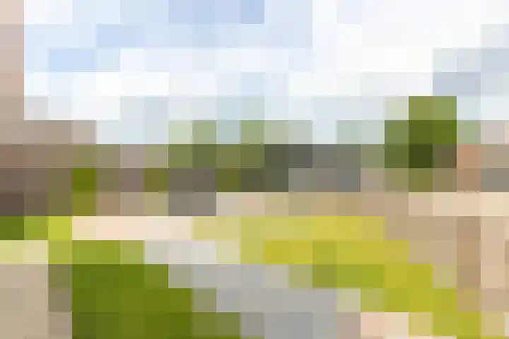 C.G. Roosweg 11 Schoonhoven thumbnail 51