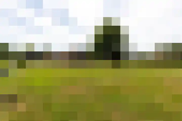 C.G. Roosweg 11 Schoonhoven thumbnail 57