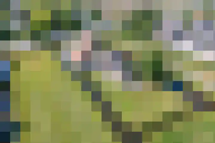 C.G. Roosweg 11 Schoonhoven thumbnail 58