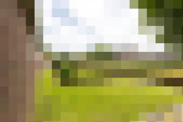 C.G. Roosweg 11 Schoonhoven thumbnail 59