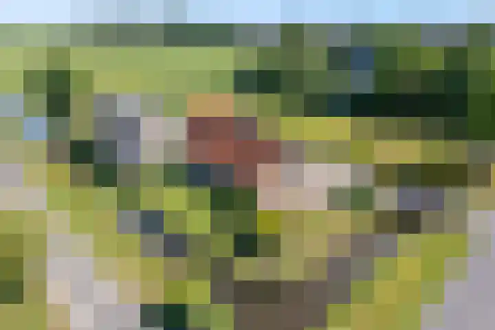 C.G. Roosweg 11 Schoonhoven thumbnail 6
