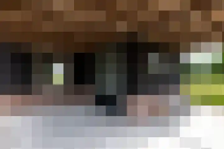 C.G. Roosweg 11 Schoonhoven thumbnail 62