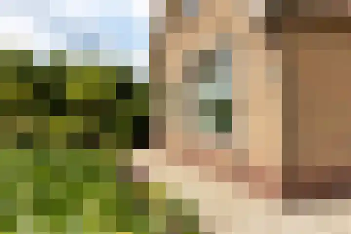 C.G. Roosweg 11 Schoonhoven thumbnail 65