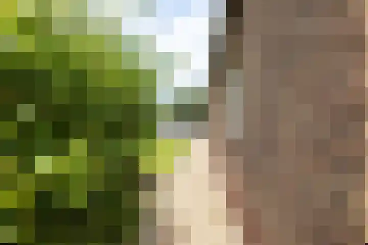 C.G. Roosweg 11 Schoonhoven thumbnail 66