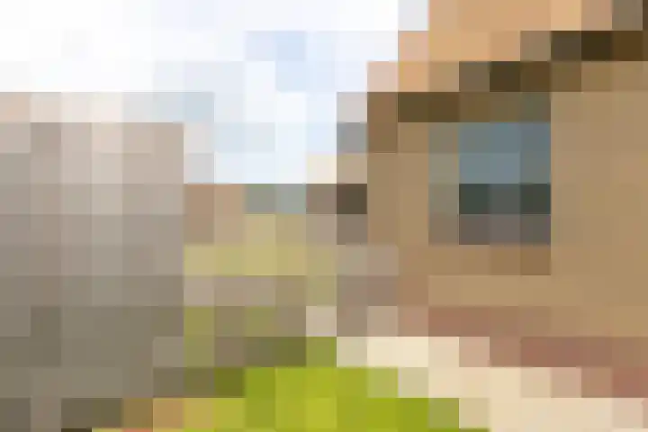 C.G. Roosweg 11 Schoonhoven thumbnail 67
