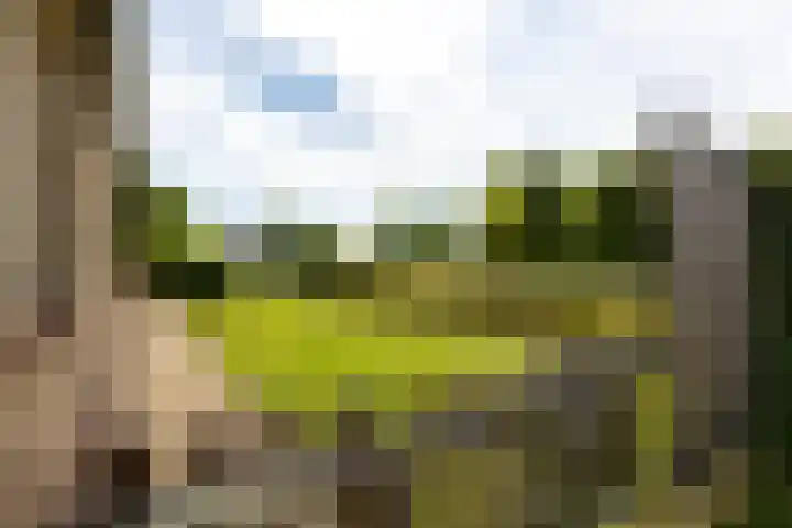 C.G. Roosweg 11 Schoonhoven thumbnail 68
