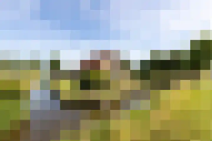 C.G. Roosweg 11 Schoonhoven thumbnail 7