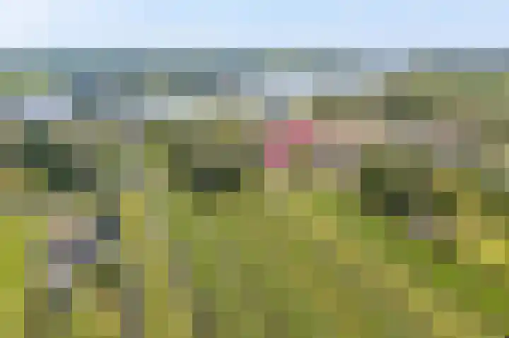 C.G. Roosweg 11 Schoonhoven thumbnail 70