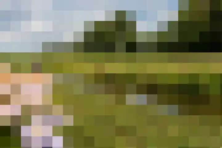 C.G. Roosweg 11 Schoonhoven thumbnail 71