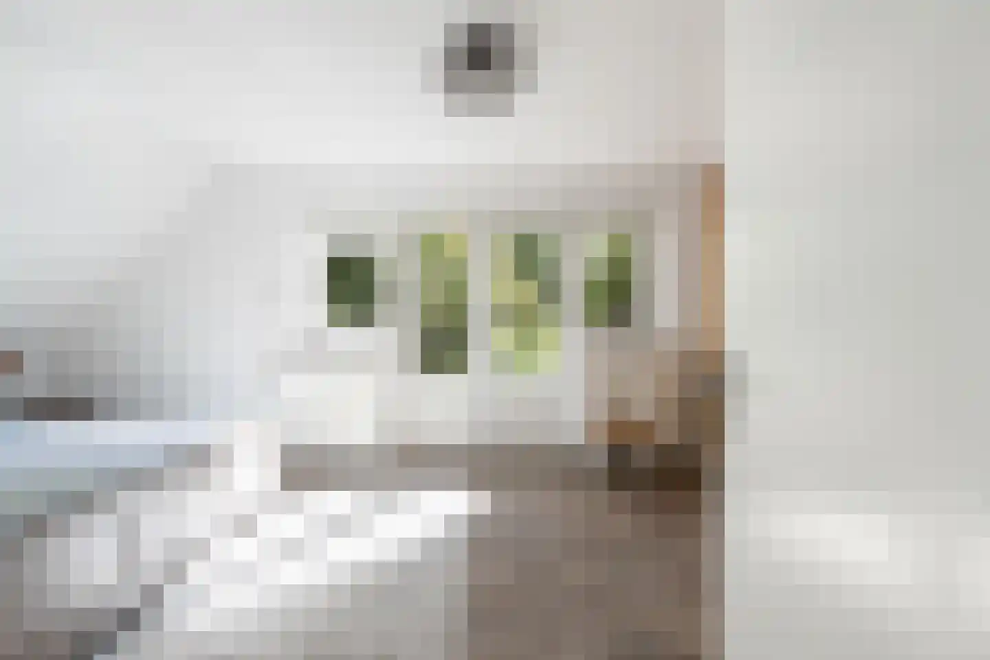 C.G. Roosweg 13 Schoonhoven thumbnail 21