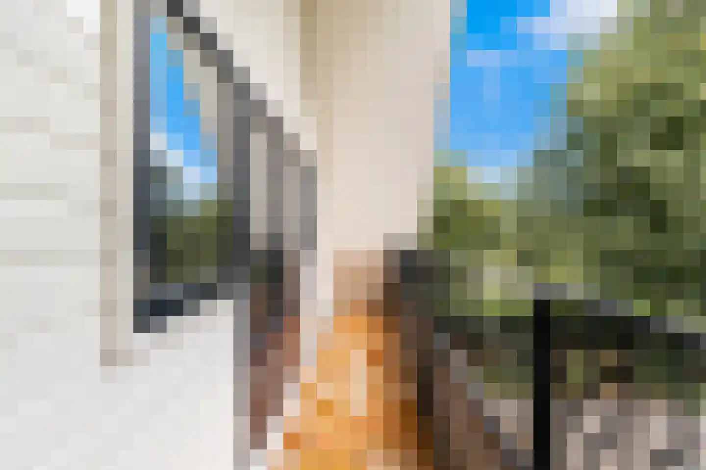 C.G. Roosweg 13 Schoonhoven thumbnail 22