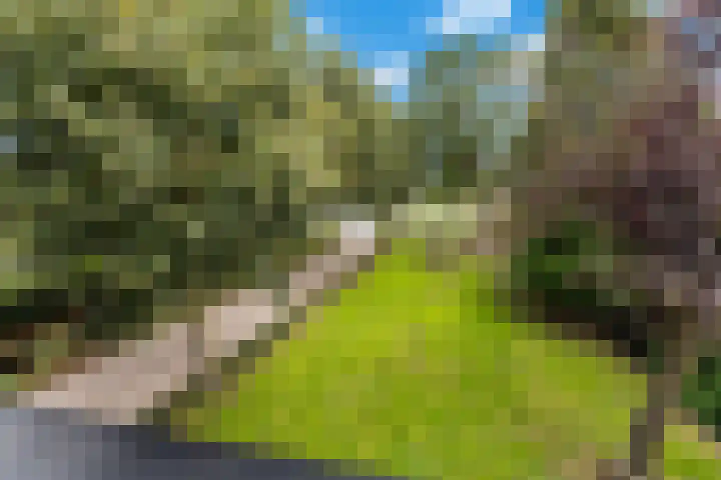 C.G. Roosweg 13 Schoonhoven thumbnail 23
