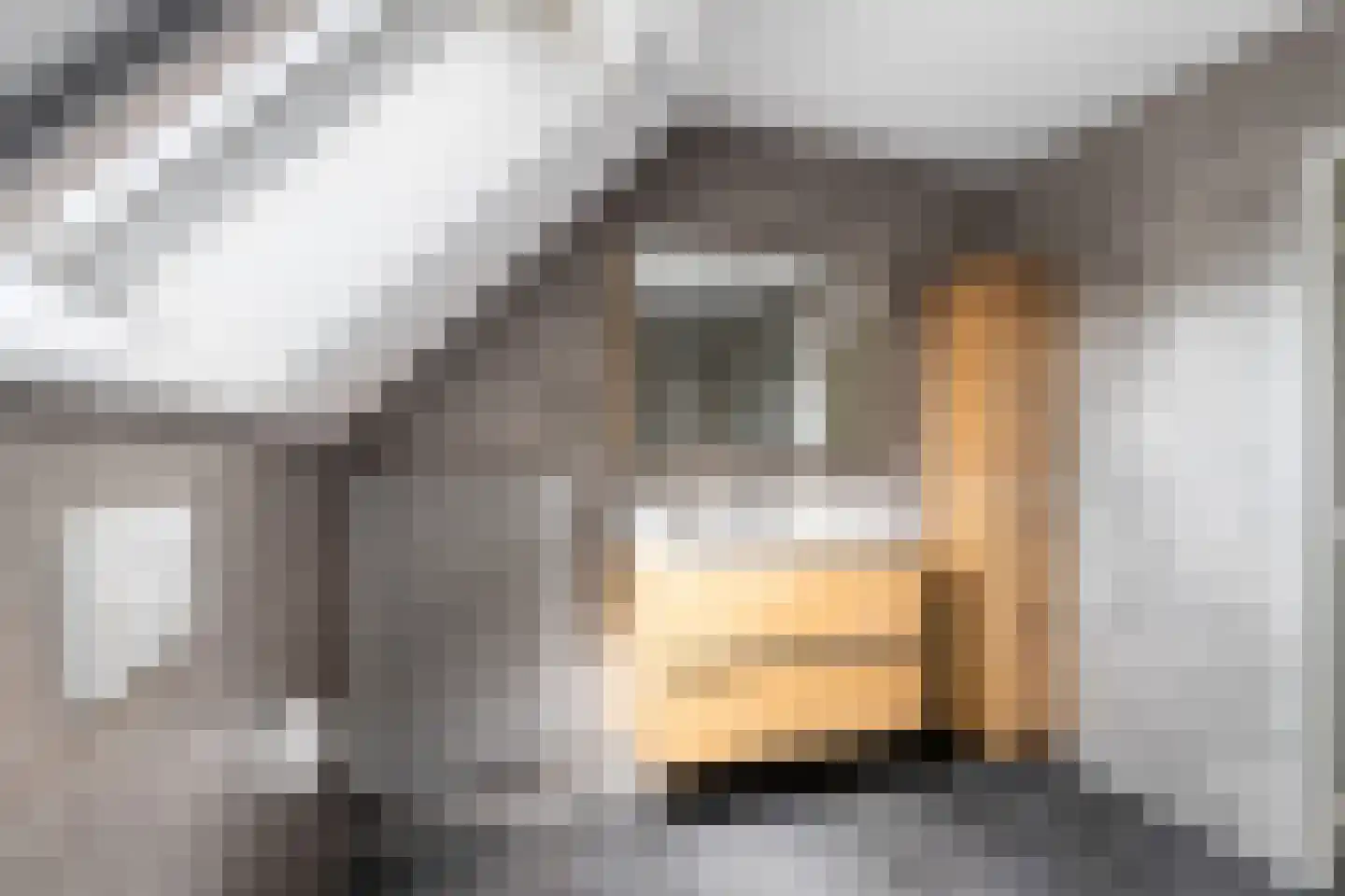 C.G. Roosweg 13 Schoonhoven thumbnail 28