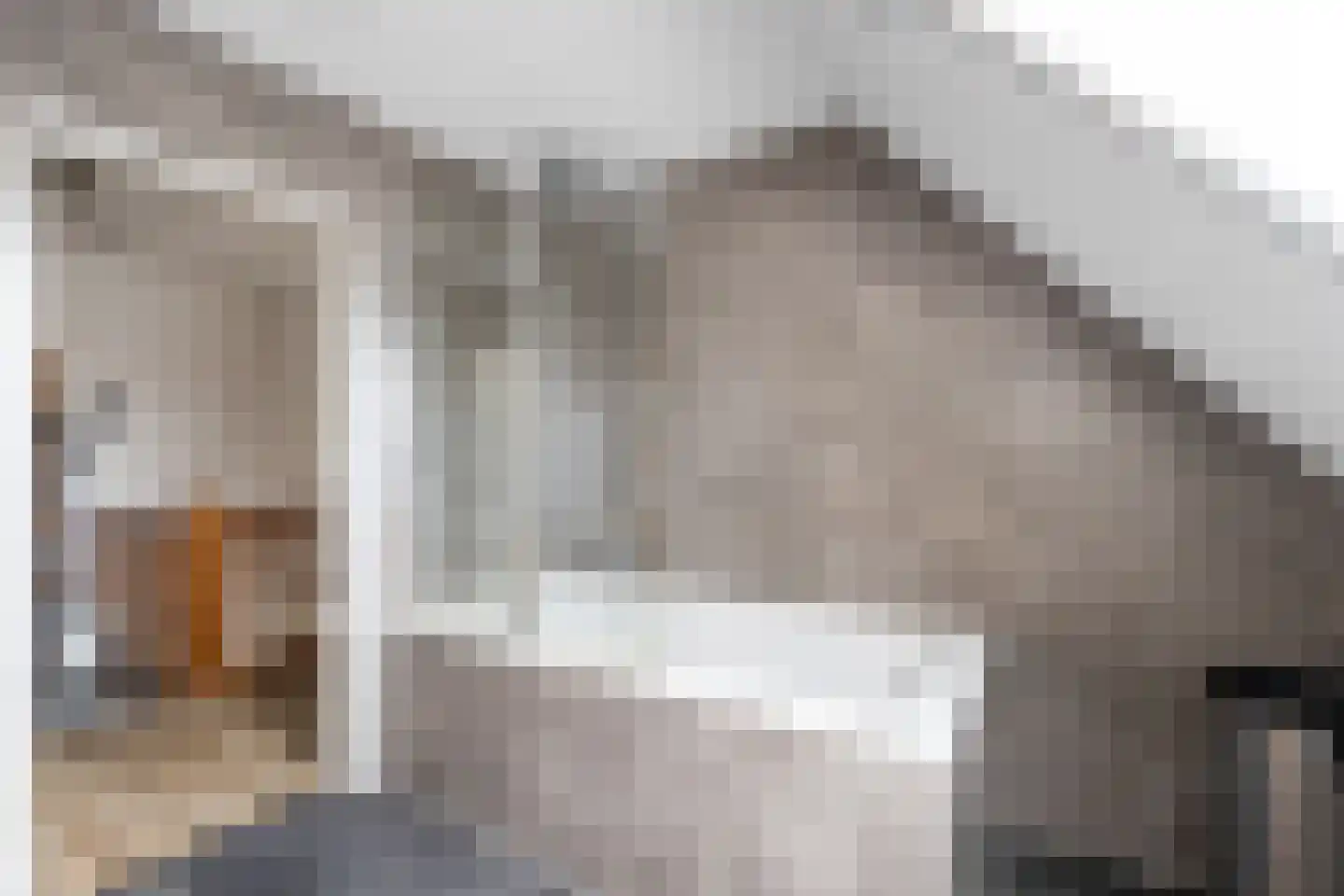 C.G. Roosweg 13 Schoonhoven thumbnail 29
