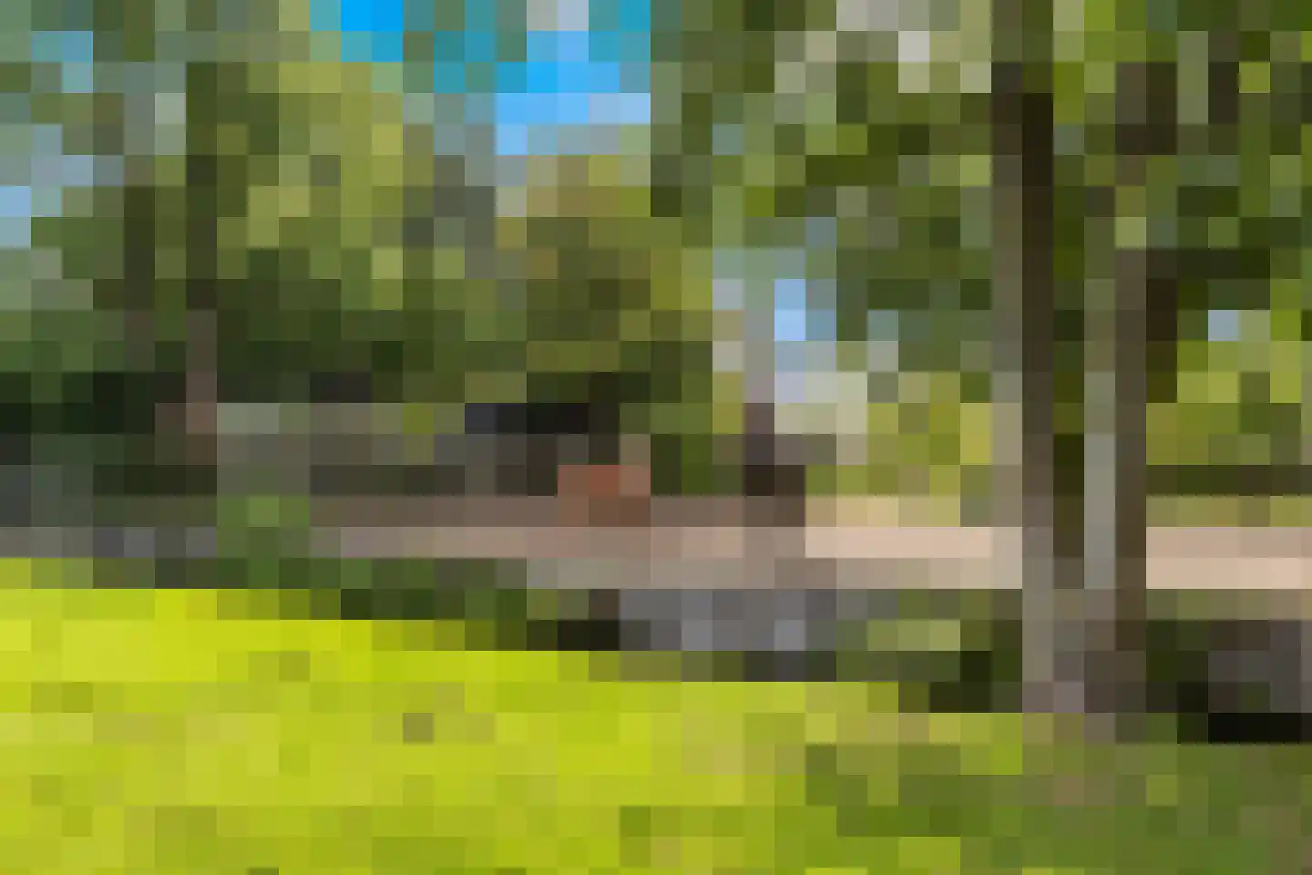 C.G. Roosweg 13 Schoonhoven thumbnail 39