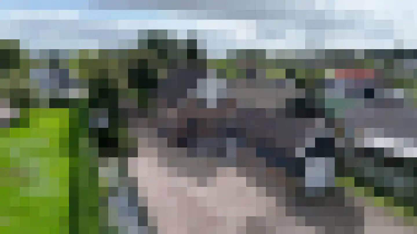 C.G. Roosweg 13 Schoonhoven thumbnail 42