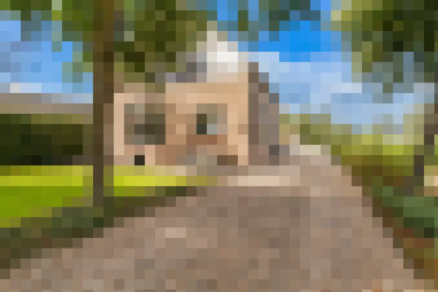 C.G. Roosweg 13 Schoonhoven thumbnail 43