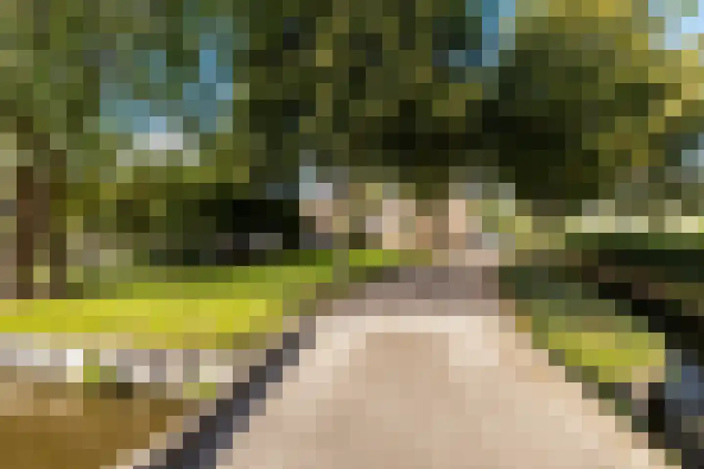 C.G. Roosweg 13 Schoonhoven thumbnail 46