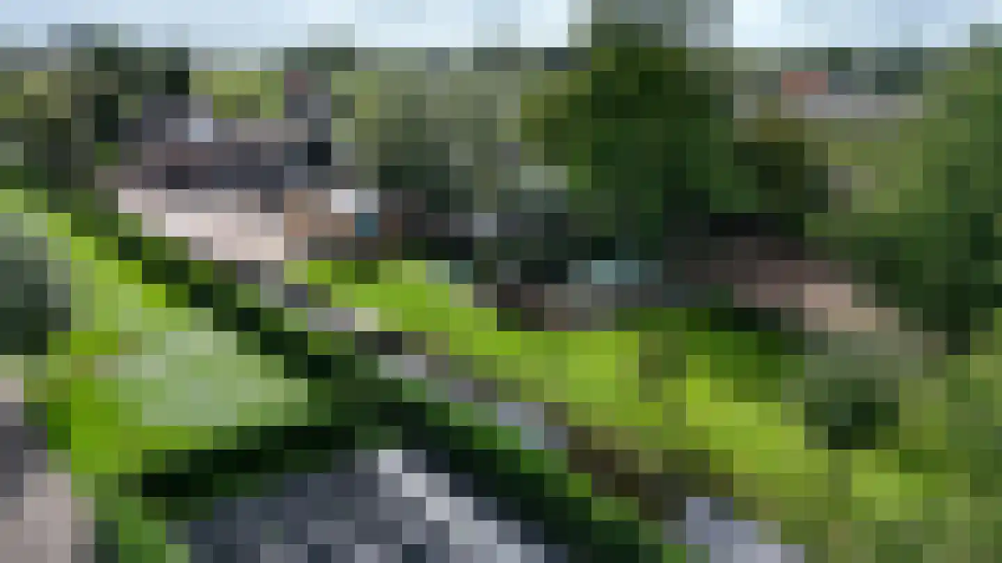 C.G. Roosweg 13 Schoonhoven thumbnail 48