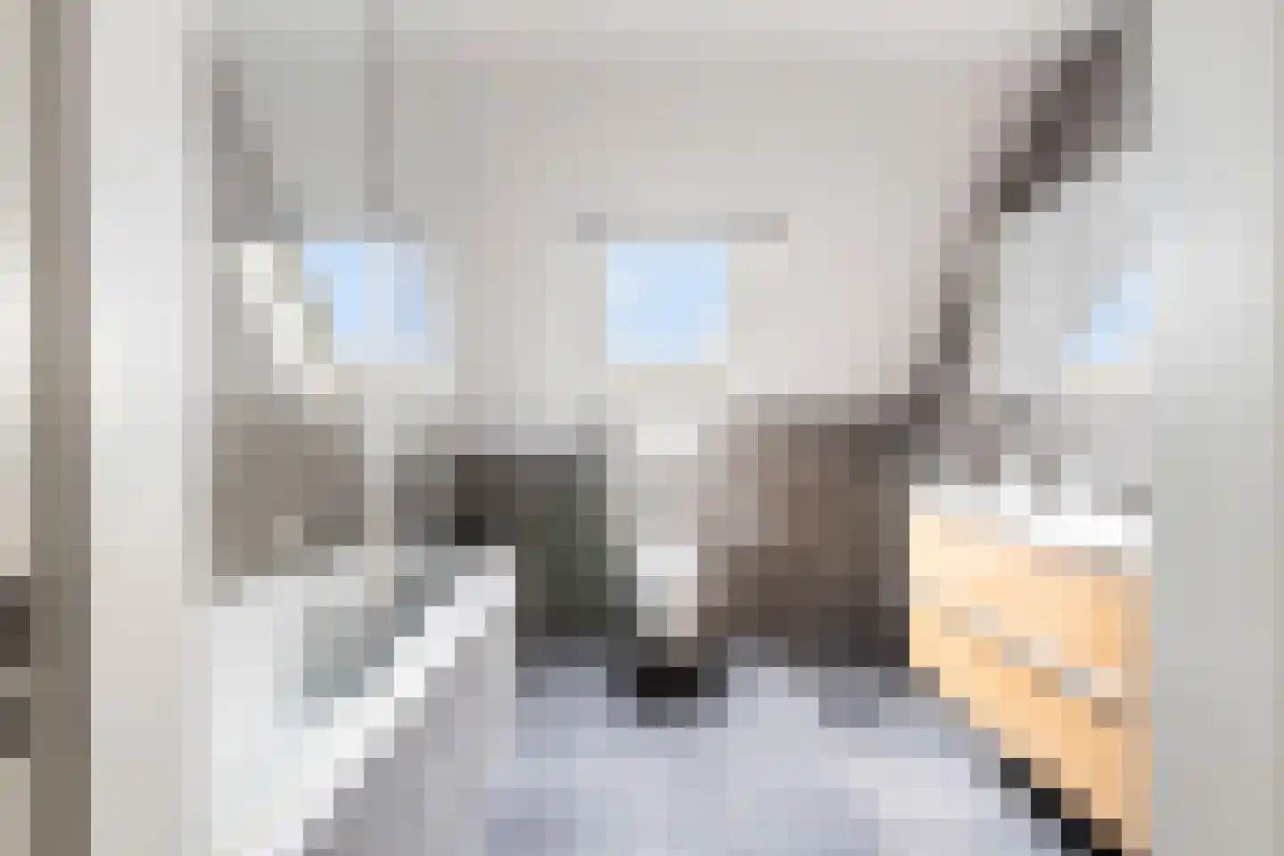 C.G. Roosweg 13 Schoonhoven thumbnail 7