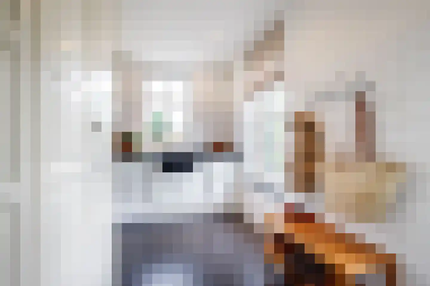 C.G. Roosweg 14 Schoonhoven thumbnail 15