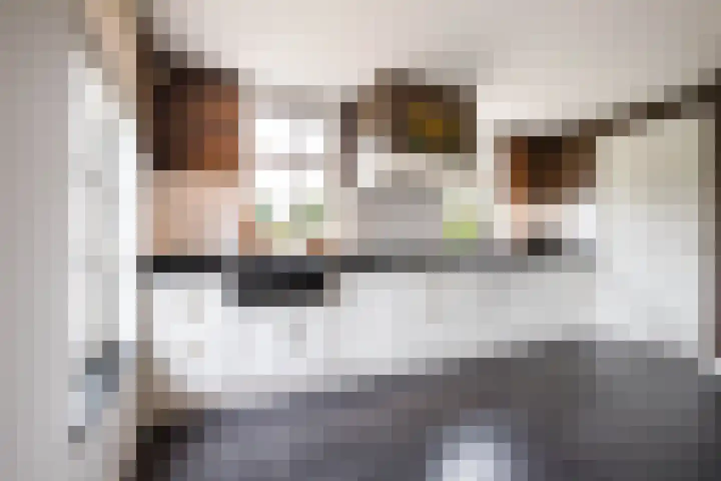 C.G. Roosweg 14 Schoonhoven thumbnail 17