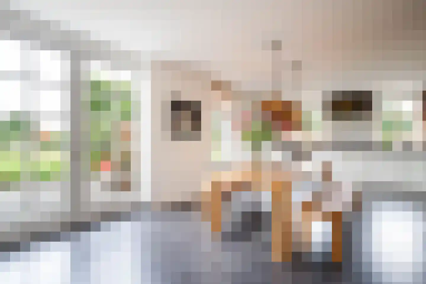 C.G. Roosweg 14 Schoonhoven thumbnail 18