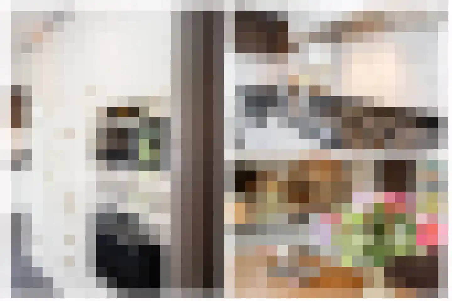 C.G. Roosweg 14 Schoonhoven thumbnail 20