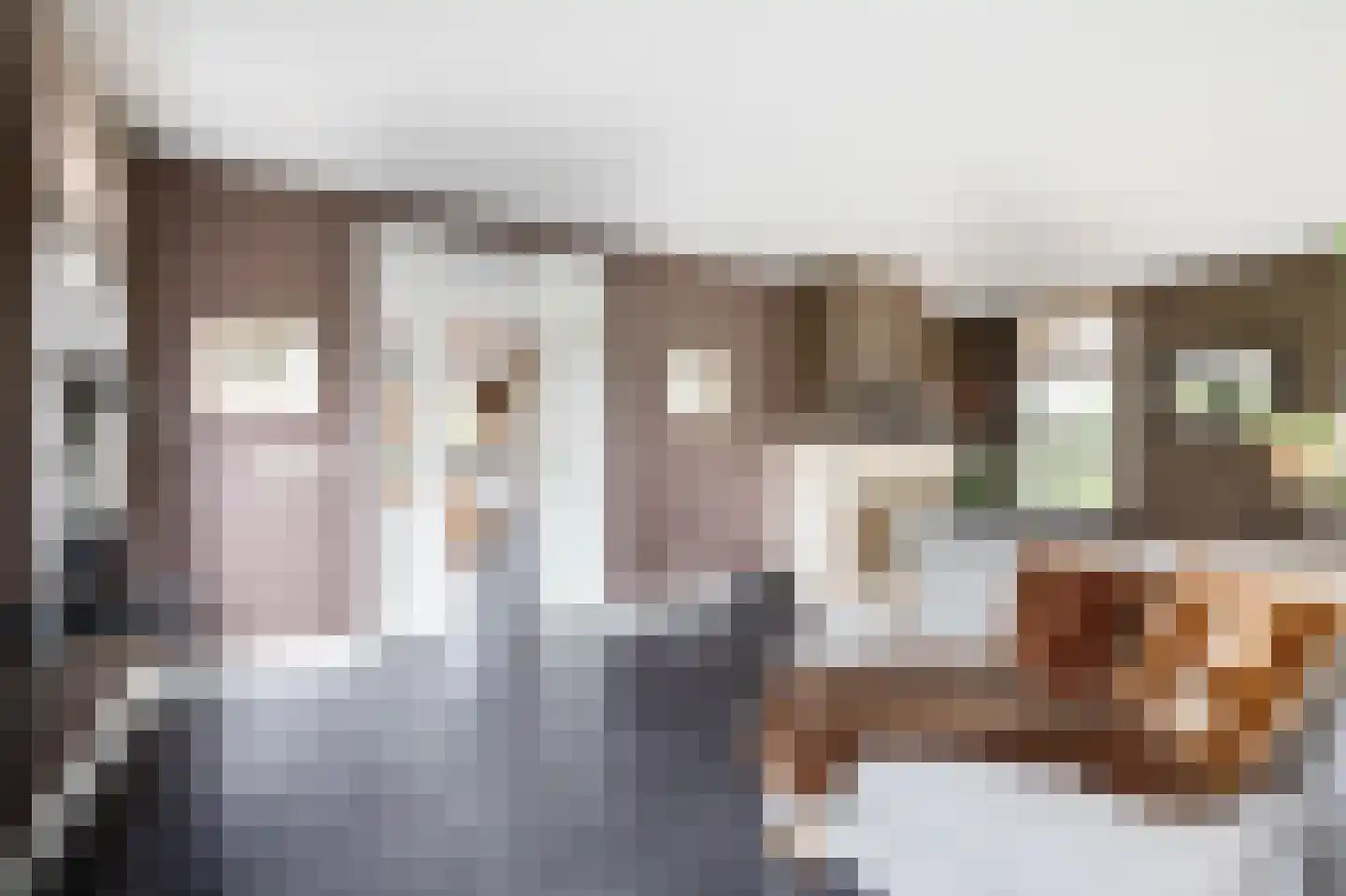 C.G. Roosweg 14 Schoonhoven thumbnail 23