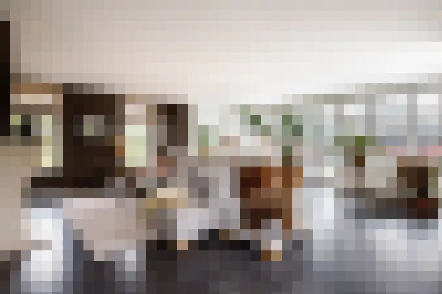 C.G. Roosweg 14 Schoonhoven thumbnail 24